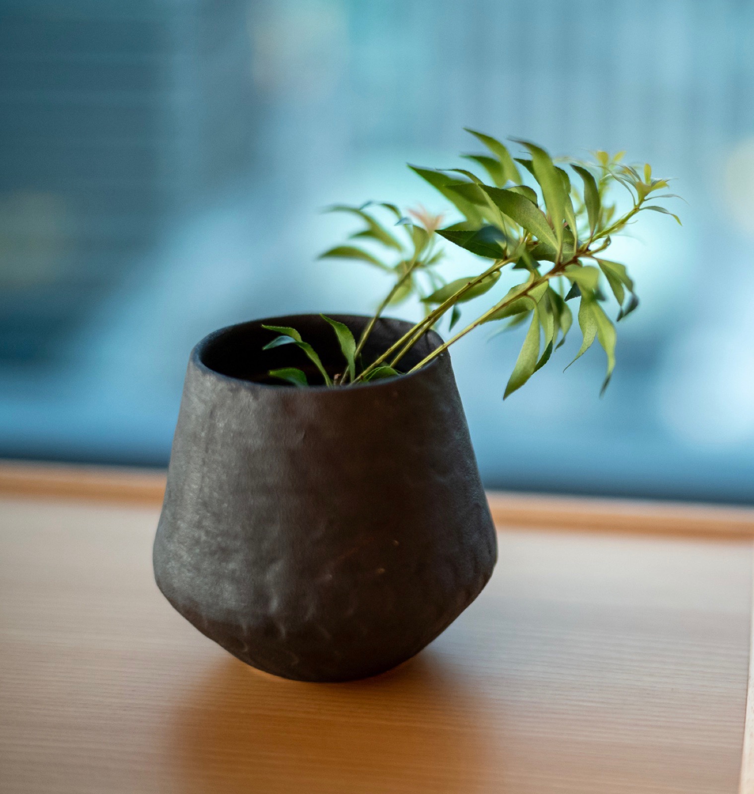 A leafy stem leaning from a dark rounded vase on a wooden table against a soft blue wall