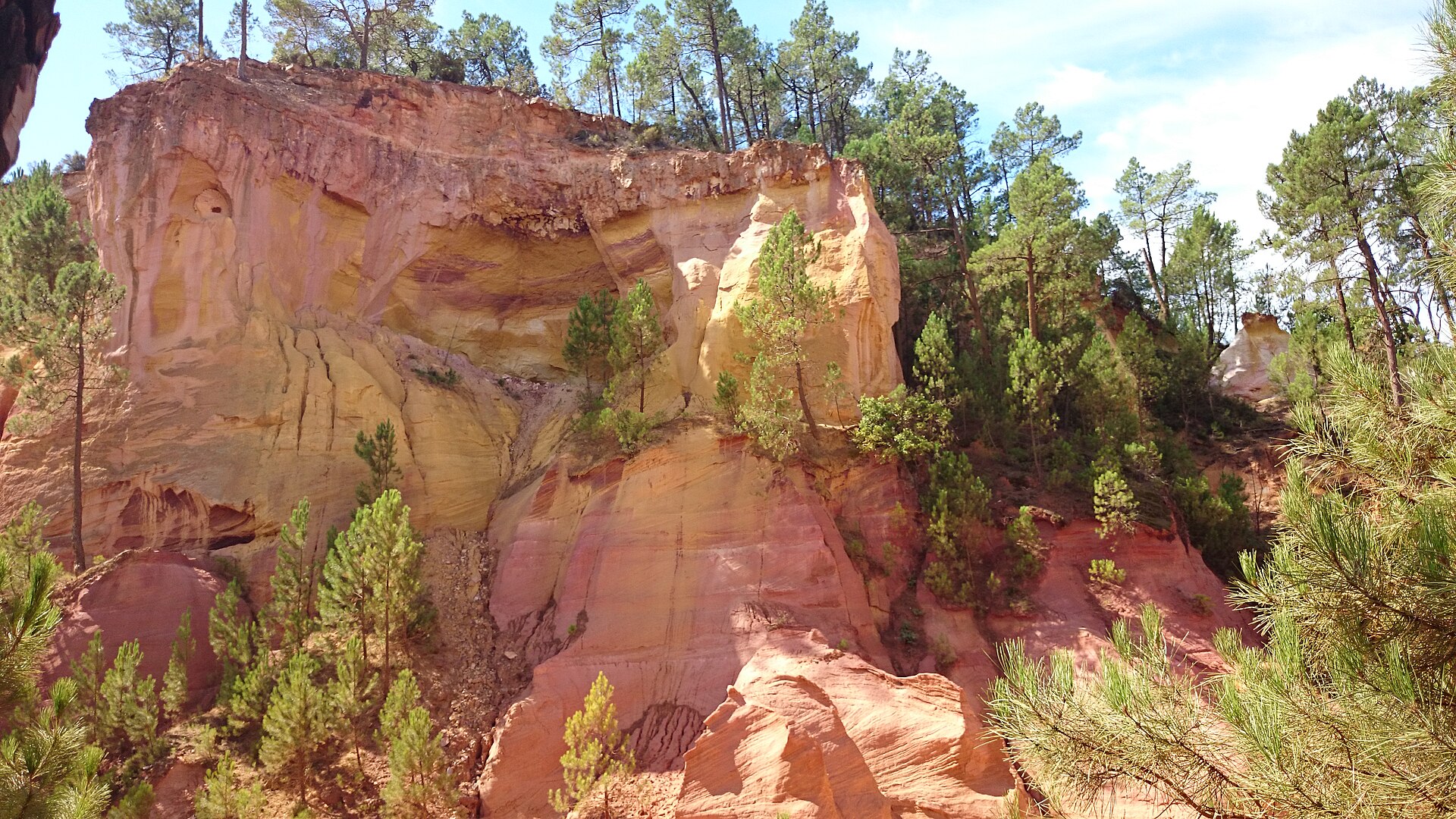 Red and gold ochre cliffs surrounded by pine trees