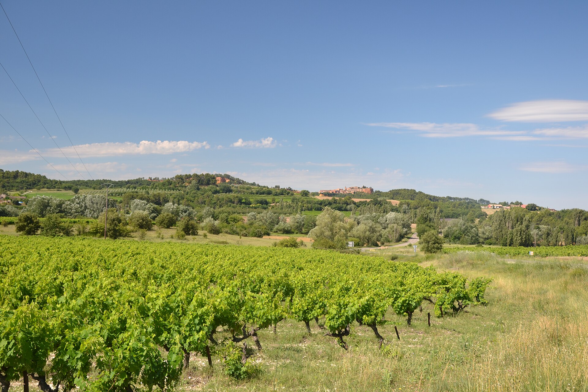 Rows of green vines with the perched village of Roussillon on the horizon